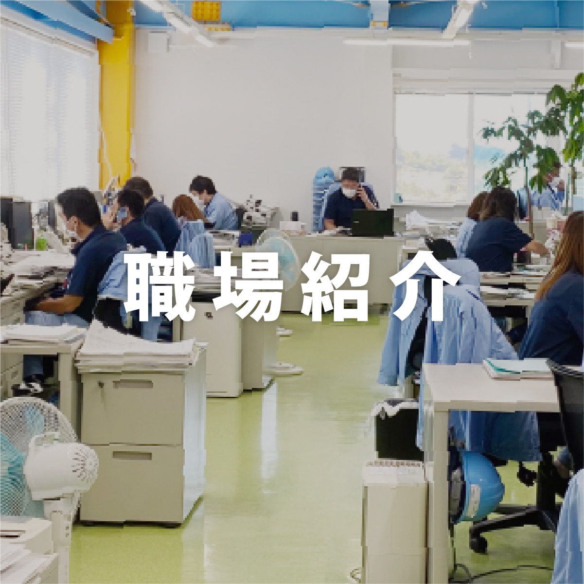 職場紹介